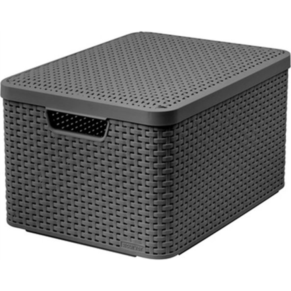 Curver , Basket Box with lid Style, 30l, Metal Silver , KE03619-308-00