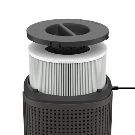 Duux Smart Air Purifier , Bright 2 , 22 W , Suitable for rooms up to 42 m² , Black