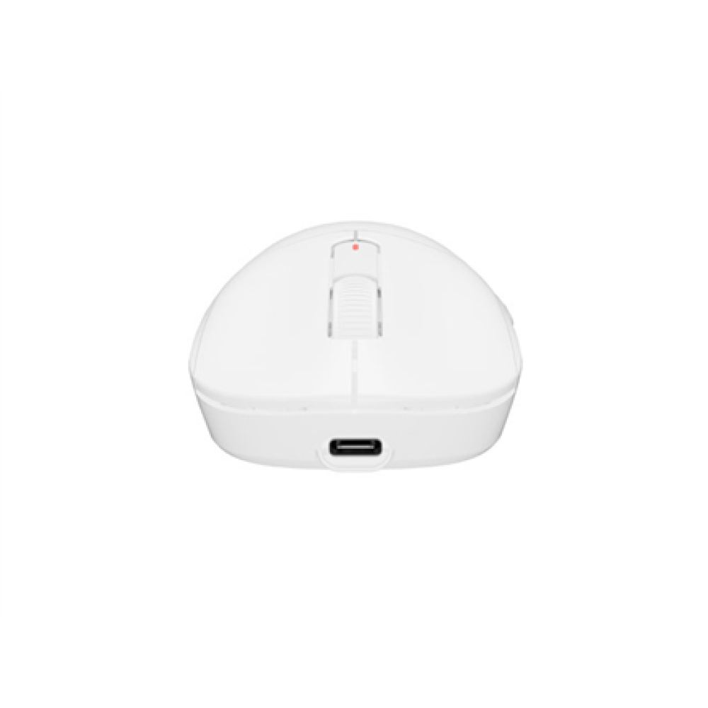 Fury Gaming Mouse , Tanto T4 , Wired/Wireless , 2.4 GHz, Bluetooth, USB , White