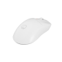 Fury Gaming Mouse , Tanto T4 , Wired/Wireless , 2.4 GHz, Bluetooth, USB , White