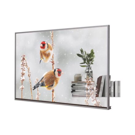 LG OLED Signage , 55EW5P-M , 55 , Landscape/Portrait , 18/7 , webOS , 600 cd/m² , 8 ms , 178 ° , 178 °