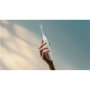 Philips Electric Toothbrush, Duo pack , HX7109/01 Sonicare Series 5300 , Rechargeable , For adults , Number of brush heads included 2 , Number of teeth brushing modes 1 , White/Black