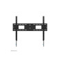 Neomounts Wall mount , WL35-750BL18 Heavy duty wall mount , Adjustable Height, Tilt , 43-98 , Maximum weight (capacity) 125 kg , Black