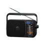 Panasonic , Portable Radio , RF-2400DEG-K , Black