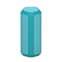 Sony SRS-XE300 X-Series Portable Wireless Speaker, Black