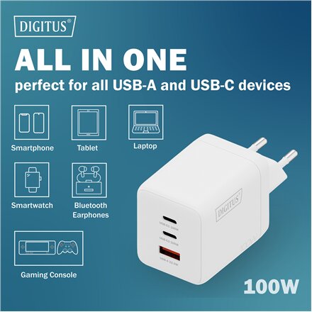 Digitus , Battery charger, 100W , DA-10304