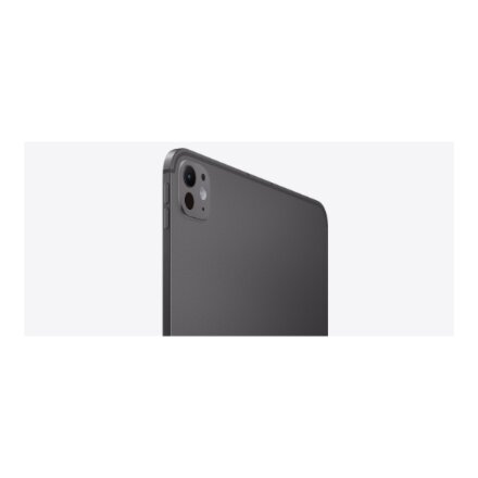 Apple iPad Pro 11 M4 Wi-Fi + Cellular 512GB with Standard glass - Space Black , Apple