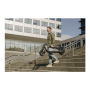 Ninebot by Segway Kickscooter F2 Pro E, Black , Segway , Kickscooter F2 Pro E , Up to 25 km/h , 10 , Black