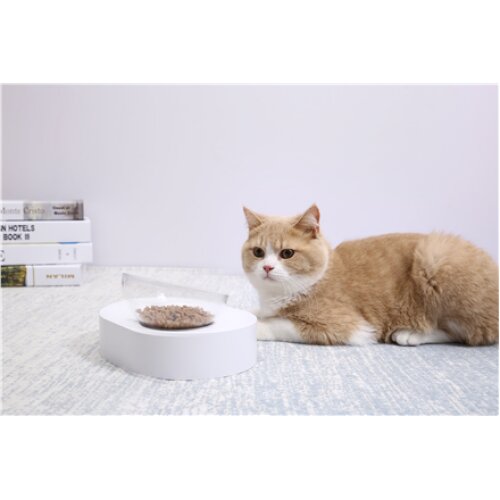 PETKIT , Bowl , Fresh Nano Single , Capacity 0.24 L , Material ABS , White