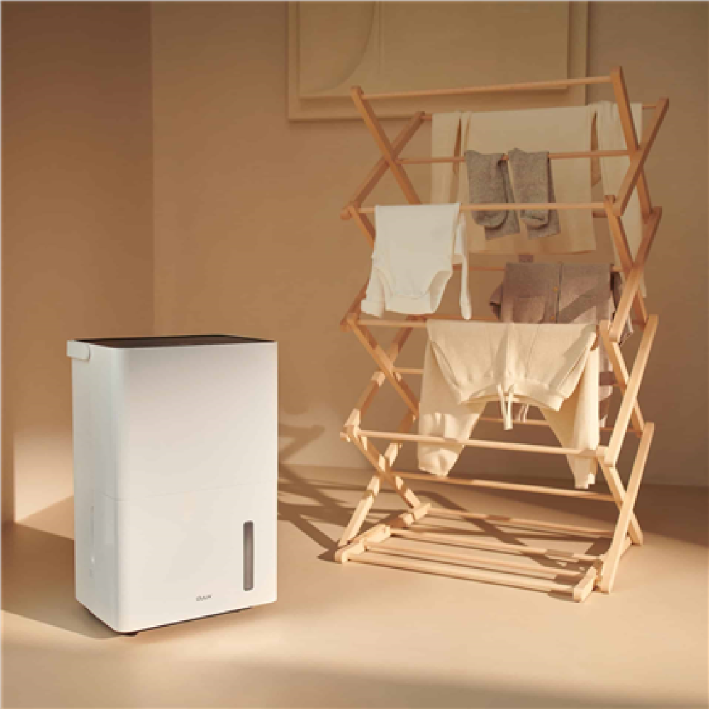Duux Smart Dehumidifier , Bora , Suitable for rooms up to 40 m² , Water tank capacity 4 L , White