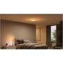 Philips Hue Datura Ceiling Light Small 38.4cm , 48 W
