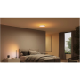 Philips Hue Datura Ceiling Light Small 38.4cm , 48 W