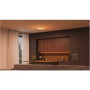 Philips Hue Datura Ceiling Light Small 38.4cm , 48 W