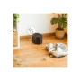 Cecotec Smart Pet Fountain , Pumba 2500 Refresh , Capacity 2.5 L , Black