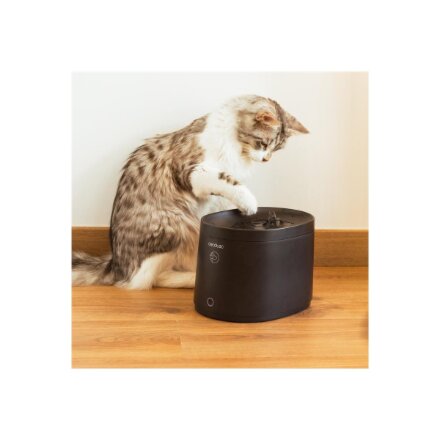 Cecotec Smart Pet Fountain , Pumba 2500 Refresh , Capacity 2.5 L , Black
