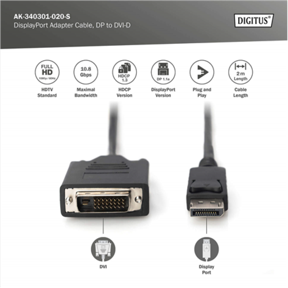 Digitus Adapter Cable, DP - DVI , DisplayPort , 2 m