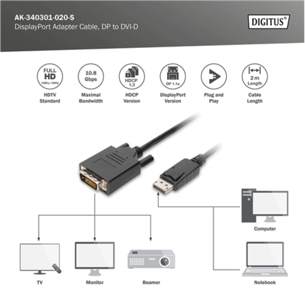 Digitus Adapter Cable, DP - DVI , DisplayPort , 2 m