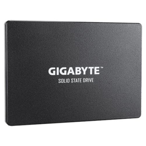 Gigabyte , GP-GSTFS31256GTND , 256 GB , Solid-state drive interface SATA , Read speed 520 MB/s , Write speed 500 MB/s