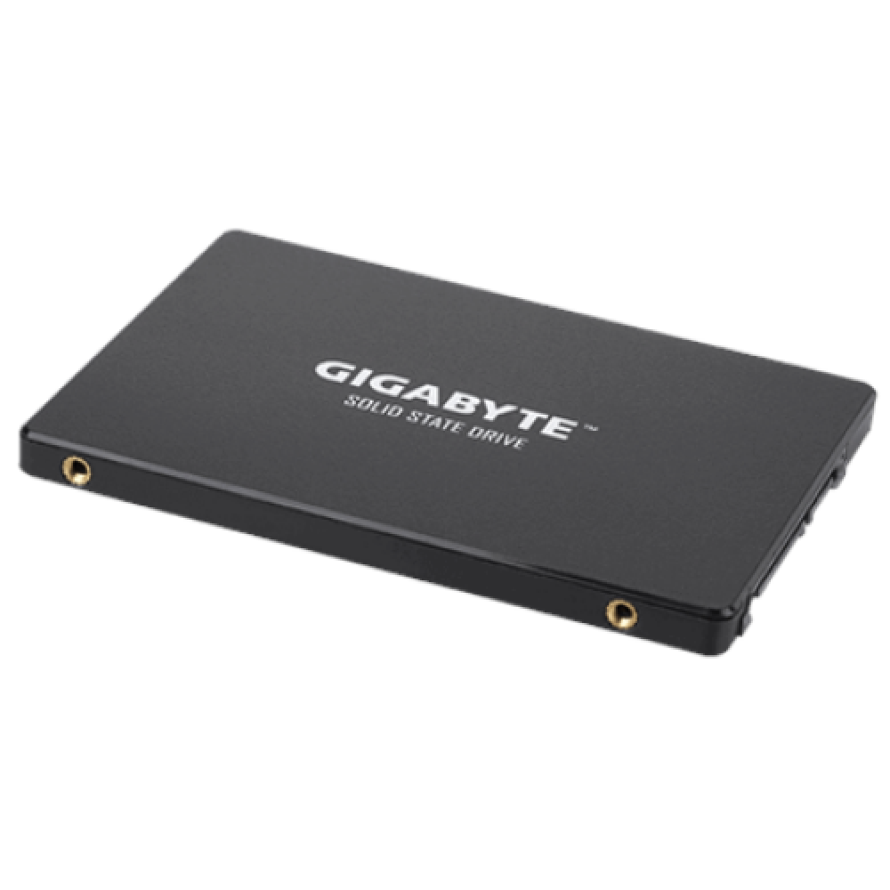 Gigabyte , GP-GSTFS31256GTND , 256 GB , Solid-state drive interface SATA , Read speed 520 MB/s , Write speed 500 MB/s