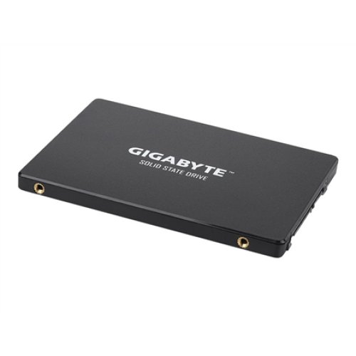 Gigabyte , GP-GSTFS31256GTND , 256 GB , Solid-state drive interface SATA , Read speed 520 MB/s , Write speed 500 MB/s