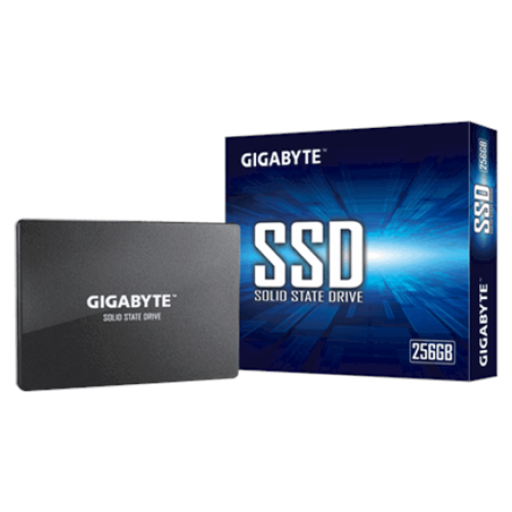 Gigabyte , GP-GSTFS31256GTND , 256 GB , Solid-state drive interface SATA , Read speed 520 MB/s , Write speed 500 MB/s