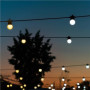 Twinkly,Festoon Smart LED Lights 40 AWW (Gold+Silver) G45 bulbs, 20m,AWW – Cool to Warm white