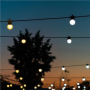 Twinkly , Festoon Smart LED Lights 40 AWW (Gold+Silver) G45 bulbs, 20m , AWW – Cool to Warm white