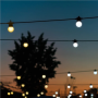 Twinkly,Festoon Smart LED Lights 40 AWW (Gold+Silver) G45 bulbs, 20m,AWW – Cool to Warm white