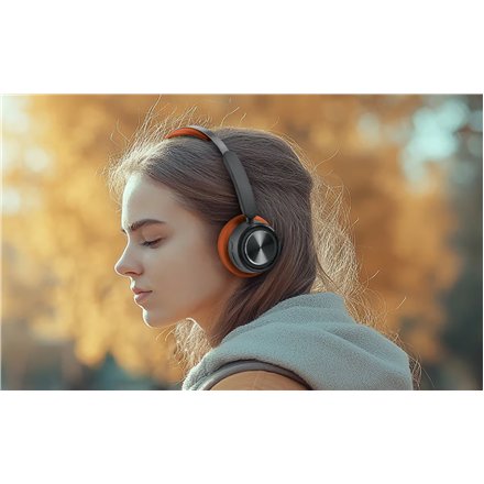 Muse , Stereo Headphones , M-271 BO