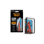 PanzerGlass FrameFit w. EasyAligner , Screen protector , Apple , iPhone Duo , Glass , Transparent