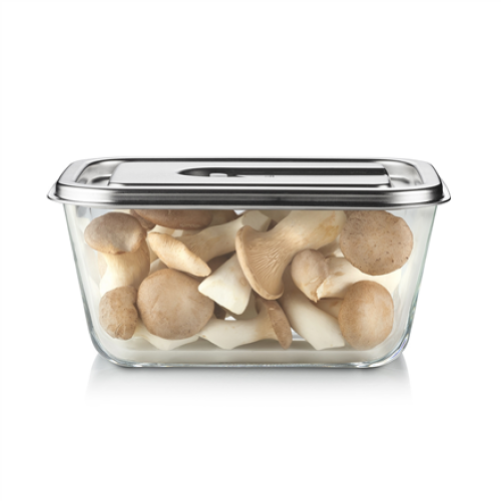 Caso Glass Vacuum Container with Plastic Lid , VacuBoxx Inox XL , Transparent