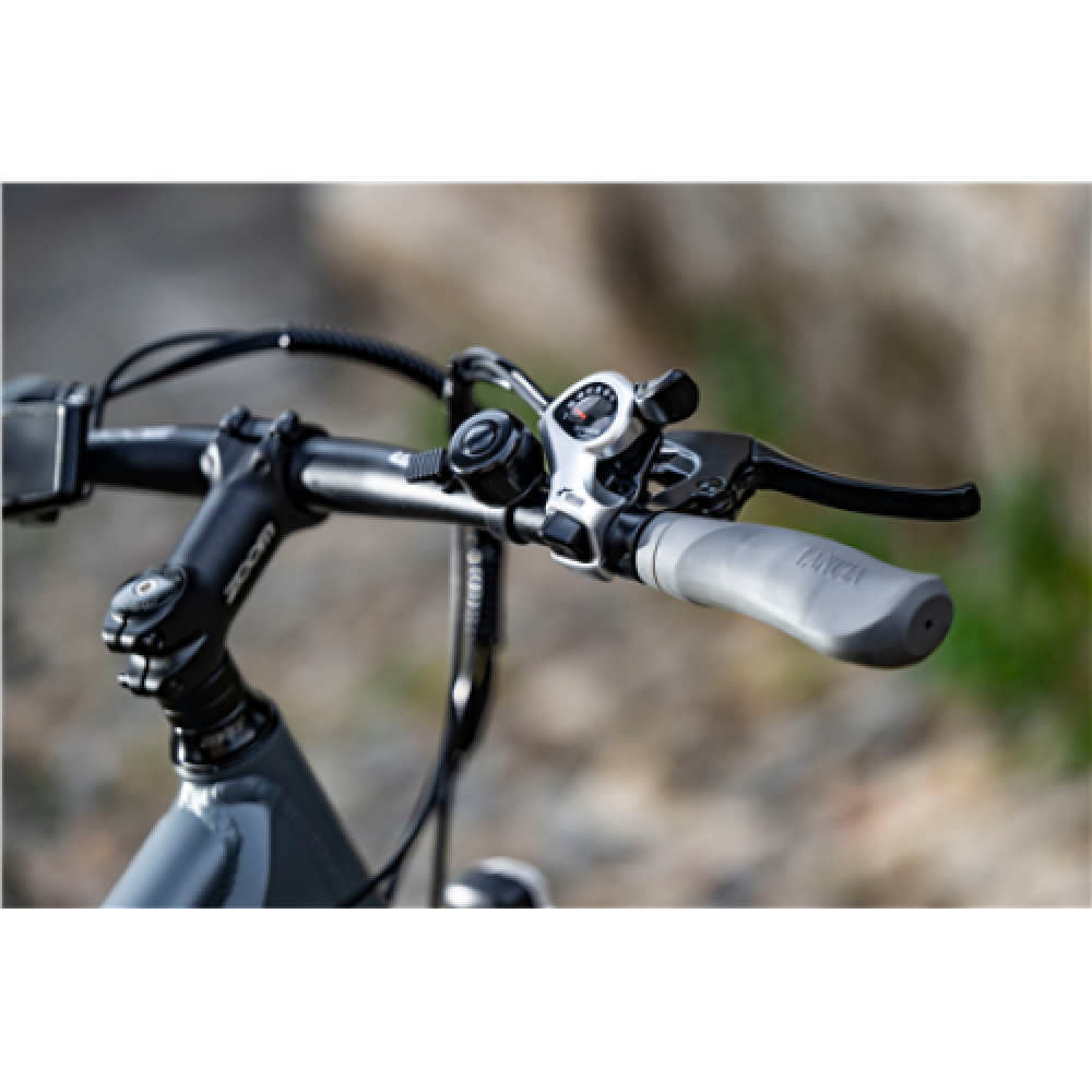 Lancia Genio E-Bike, City E-Bike, Motor power 250 W, Wheel size 27.5 , Warranty 24 month(s), Silver