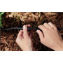 Philips Hue Outdoor 24V Cable Extension, 5m