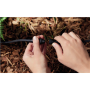 Philips Hue Outdoor 24V Cable Extension, 5m