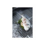 Barbecook Charcoal Barbecue Loewy 50, 51.5 x 56 x 99 cm , BC-CHA-1008 , Black