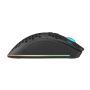 Genesis Gaming Mouse Zircon 550 Wired/Wireless, 8000 DPI, USB Type-C, USB Type-A, Black