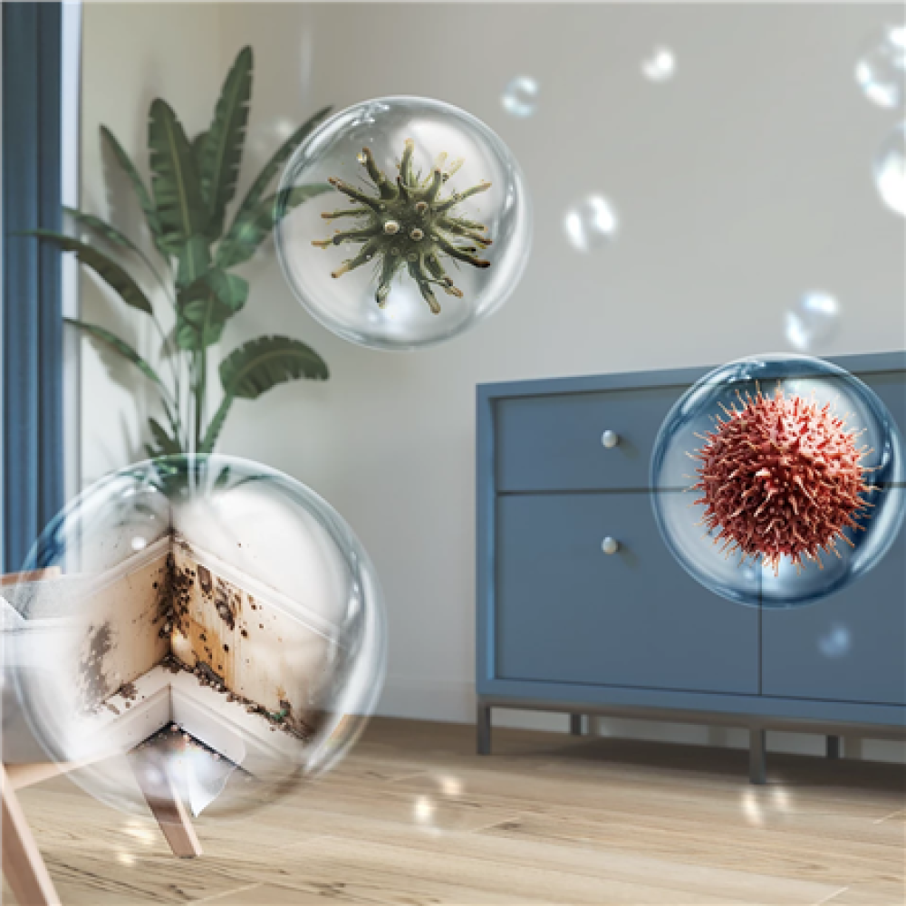 DE5305/11 Philips 2in1 Dehumidifier and Purifier , DE5305/11 5000 Series , Power 245 W , Suitable for rooms up to 137 m³ , Water tank capacity 4 L , White