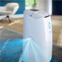 DE5305/11 Philips 2in1 Dehumidifier and Purifier , DE5305/11 5000 Series , Power 245 W , Suitable for rooms up to 137 m³ , Water tank capacity 4 L , White