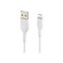 Belkin , BOOST CHARGE , Lightning to USB-A Cable