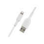 Belkin , BOOST CHARGE , Lightning to USB-A Cable