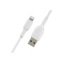 Belkin , BOOST CHARGE , Lightning to USB-A Cable