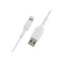 Belkin , BOOST CHARGE , Lightning to USB-A Cable