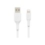 Belkin , BOOST CHARGE , Lightning to USB-A Cable