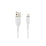 Belkin , BOOST CHARGE , Lightning to USB-A Cable