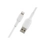 Belkin , BOOST CHARGE , Lightning to USB-A Cable