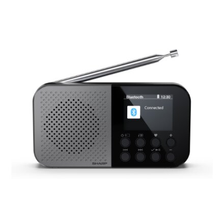 Sharp OSAKA Pocket/Handheld Portable Digital Radio , DR-P520(GY) , Bluetooth
