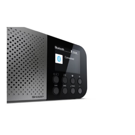 Sharp OSAKA Pocket/Handheld Portable Digital Radio , DR-P520(GY) , Bluetooth