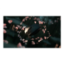 Razer , Gaming Mouse , Orochi V2 , Optical mouse , USB, Bluetooth , Black , 1 year(s)
