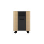 Epson Mobile A/V Cabinet , ELPCS01