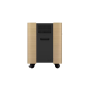 Epson Mobile A/V Cabinet , ELPCS01